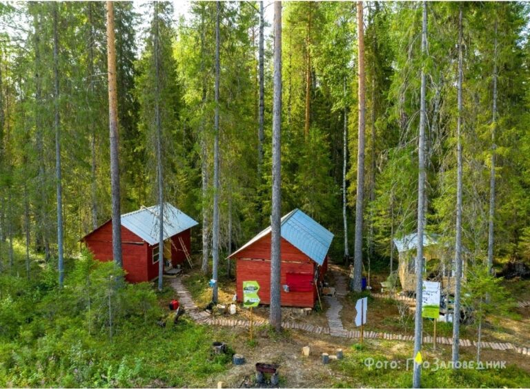 Когда тебе не хватает вдохновения, устал от городской суеты, «перегорел» на работе…