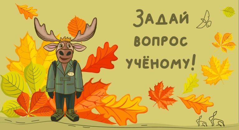 Откуда перелетные птицы знают, куда им лететь, и когда? Как это у них все происходит?