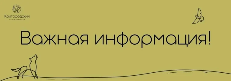 Внимание мошенники! 