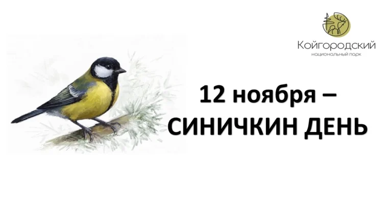 12 ноября – Синичкин день!