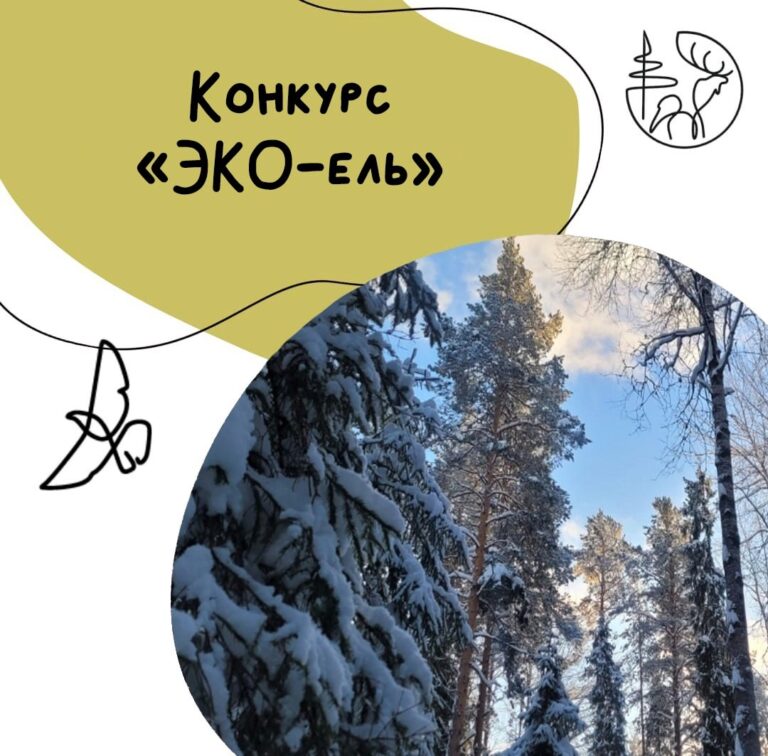 Конкурс “Эко-ель”.