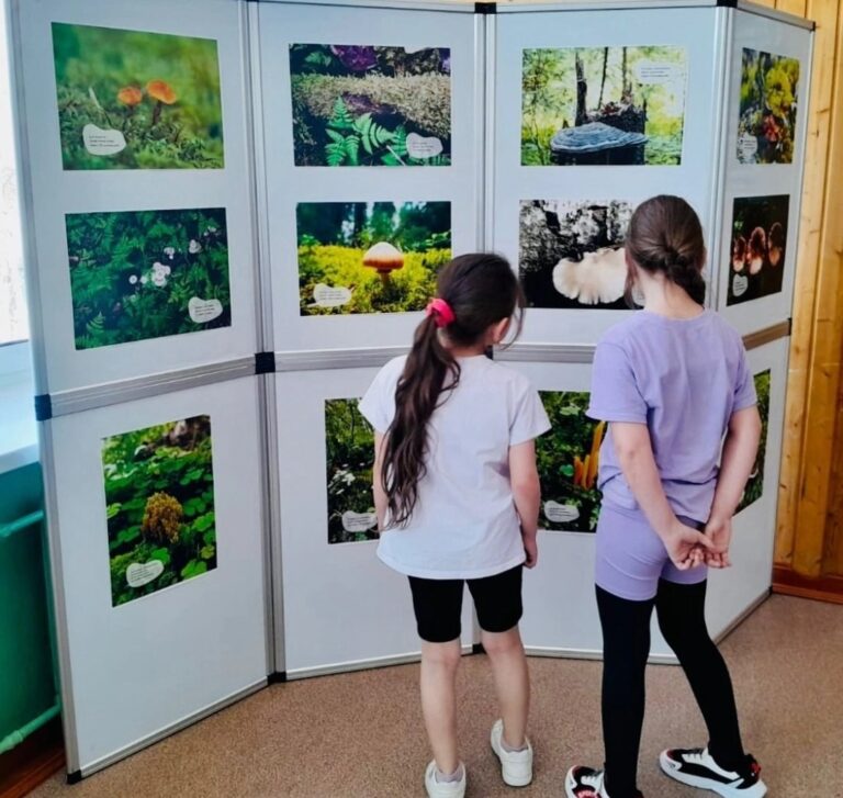 Главная цель создания национального парка “Койгородский”.
