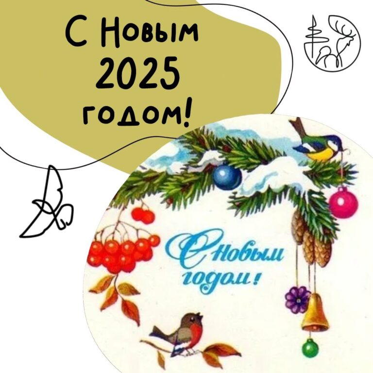 С наступающим Новым Годом!