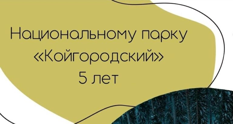 Праздник в честь 5-летия НП “Койгородский”.
