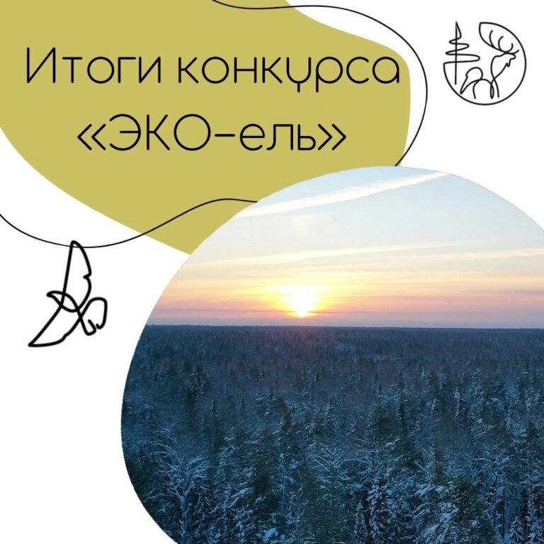 Завершился региональный конкурс «ЭКО-ель».