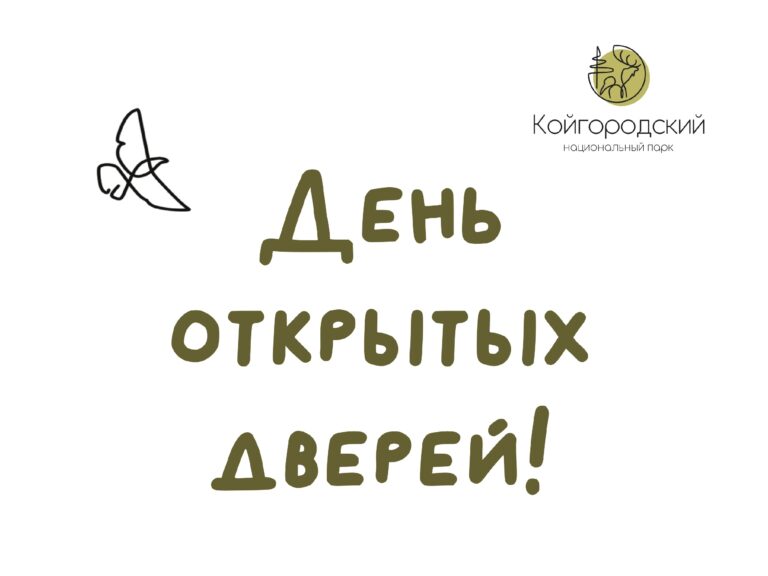 День открытых дверей!