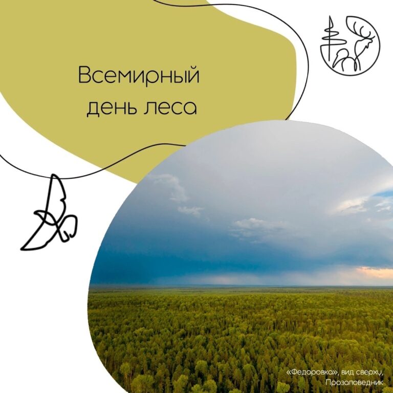 21 марта – Международный день леса.