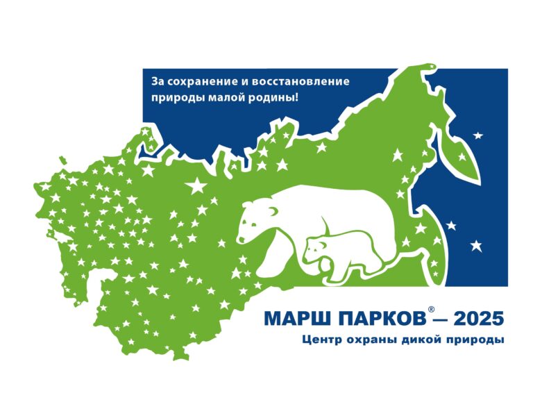 Стартовала акция “Марш парков – 2025”!