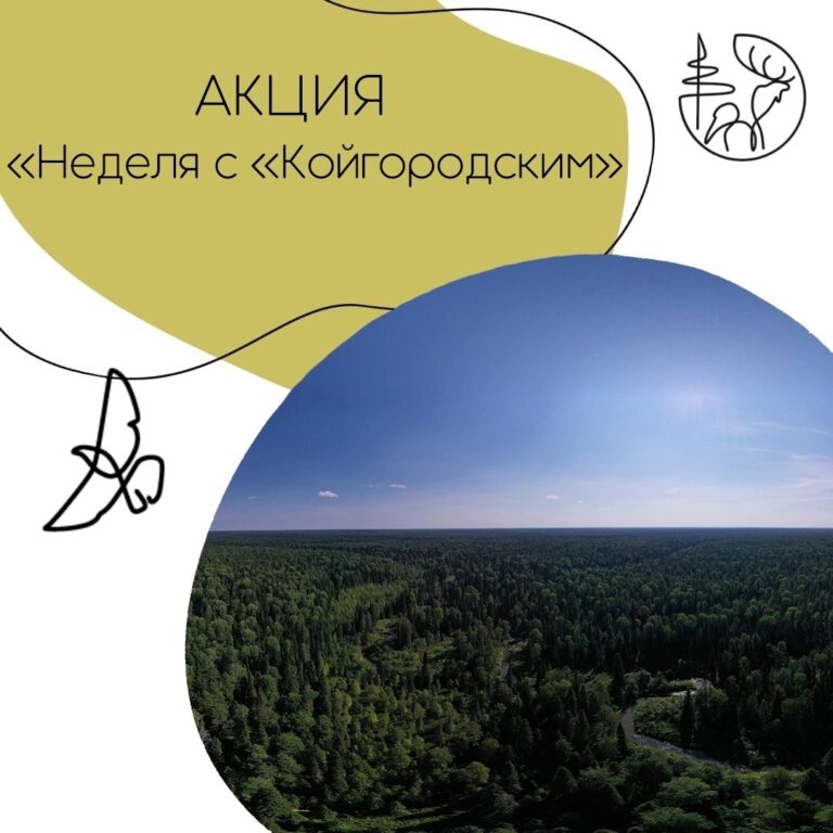 Акция «Неделя с «Койгородским»».