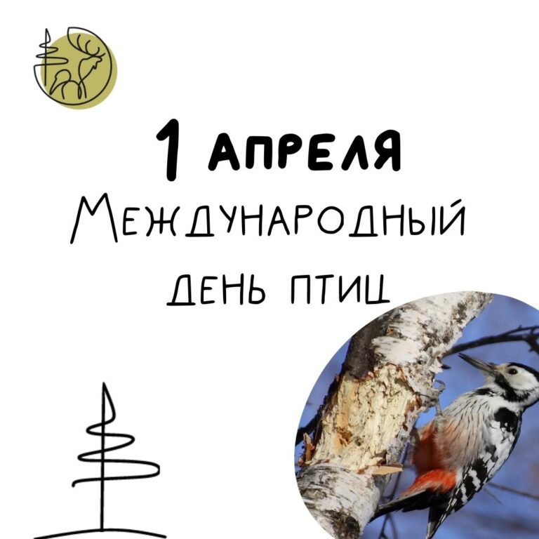 1 апреля во всём мире отмечают День птиц.