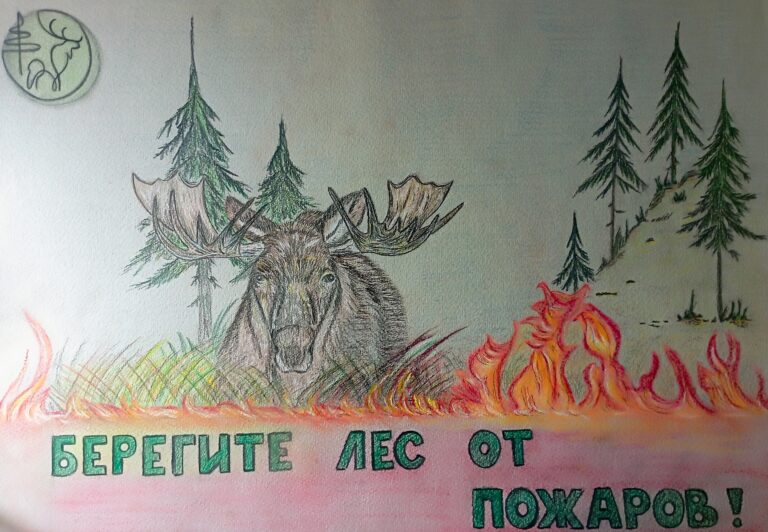 Берегите лес от пожара!