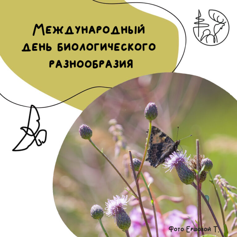 Международный день биологического разнообразия.