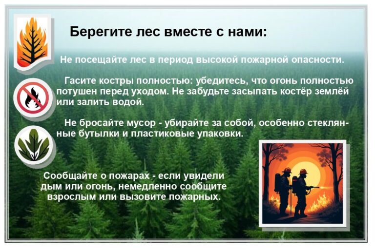 Нет лесным пожарам!