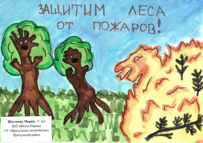 Что вызывает лесные пожары? 
