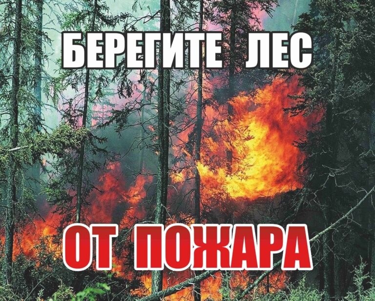 Берегите лес от пожара!