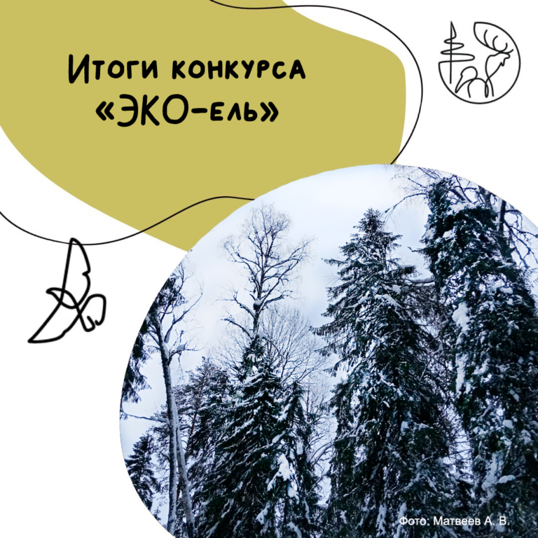 Завершено подведение итогов конкурса “ЭКО-ель”!