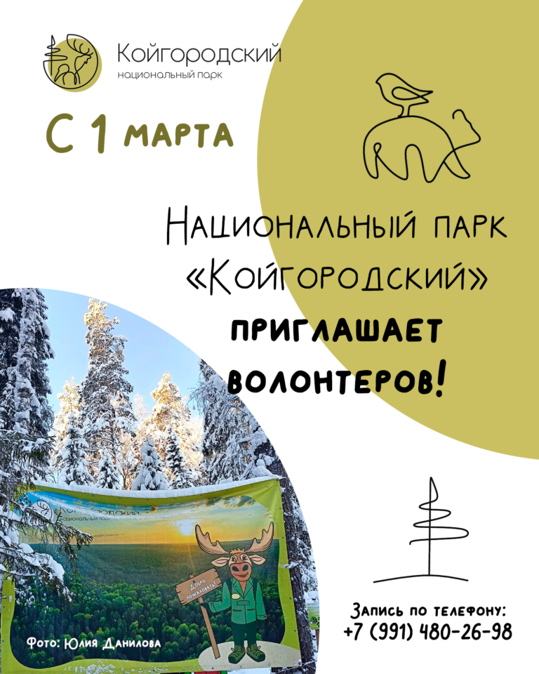 Национальный парк «Койгородский» приглашает волонтёров для покраски новых гостевых домиков уже в марте 2026-го!