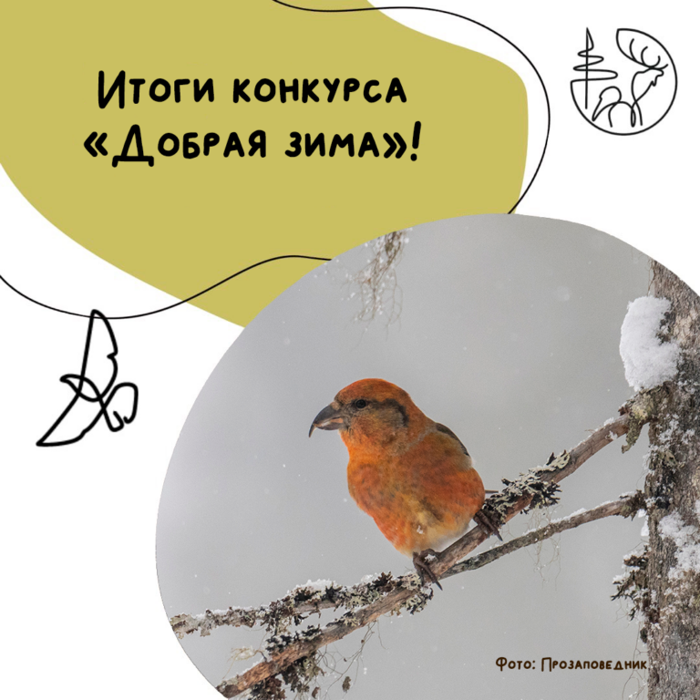 Пришло время подвести итоги акции «Добрая зима»!