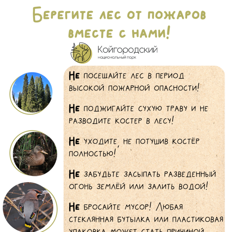 Совсем скоро начнётся пожароопасный сезон — будьте максимально бдительны!