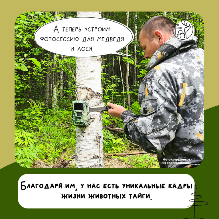 С Днем таёжного инспектора!