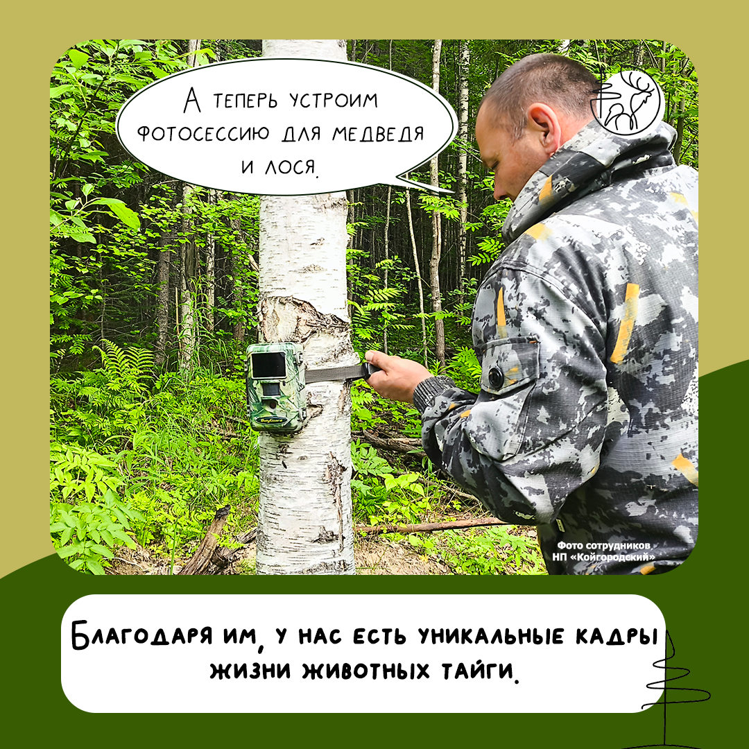 С Днем таёжного инспектора!